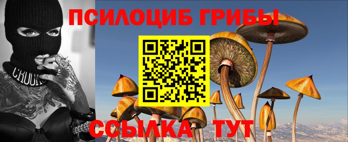 Малгобек  Галлюциногенные грибы прущие грибы  Галлюциногенные грибы GOLDEN TEACHER  Вход с VPN 
